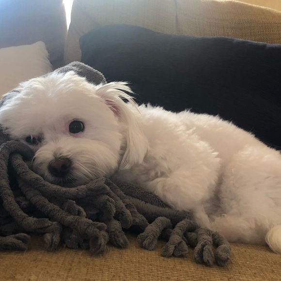 Meet your Posher, Lori - Picture 2 of 4